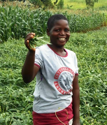 Investing in sustainable agriculture and food systems