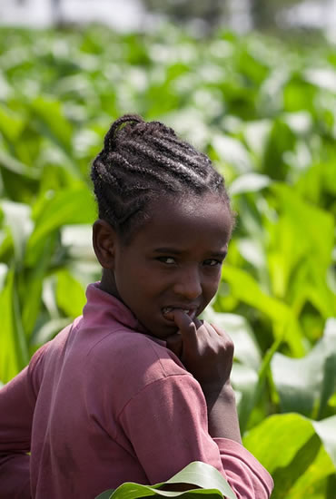 Investing in sustainable agriculture and food systems