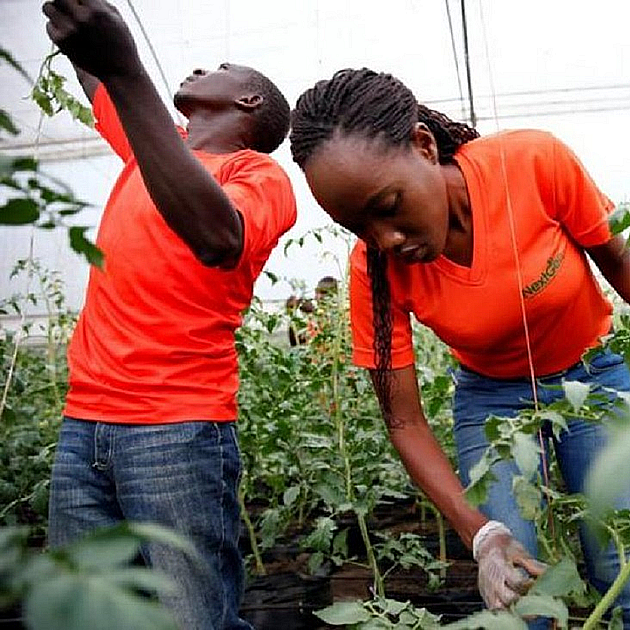 Building tomorrow's agribusiness leaders.